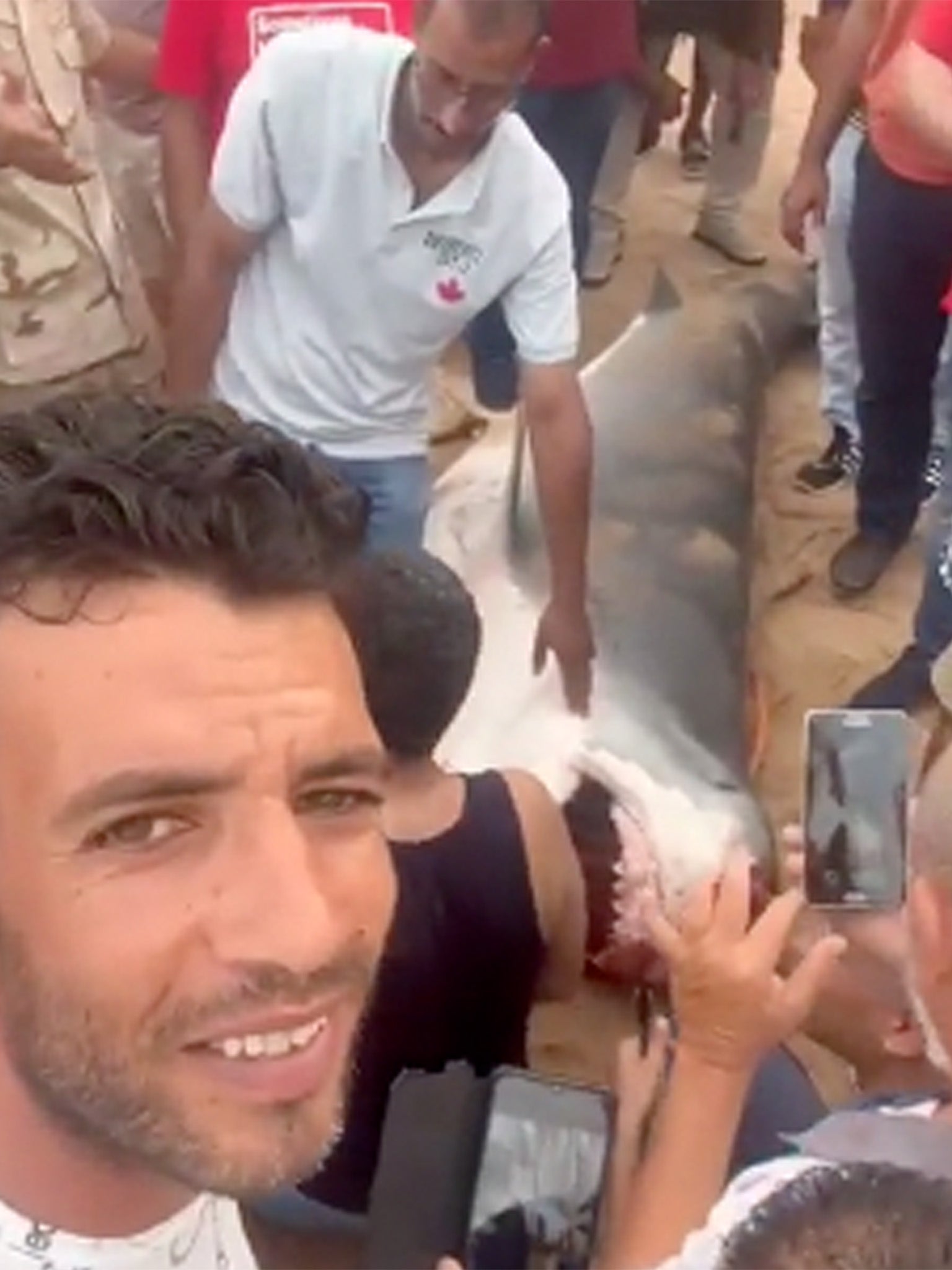 tourist in egypt eaten by shark